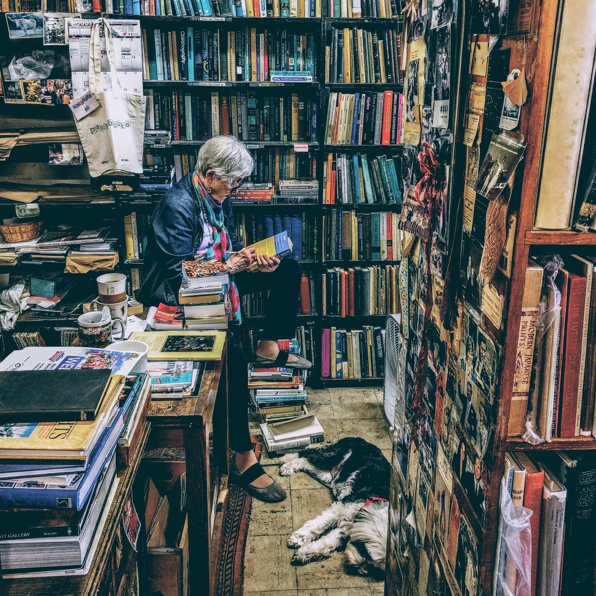 The owner of a used bookstore reading, her dog asleep on the floor
