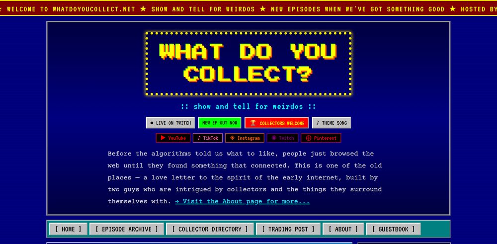 The What Do You Collect? homepage — a retro, early-internet design